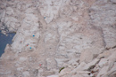 Mt. Whitney